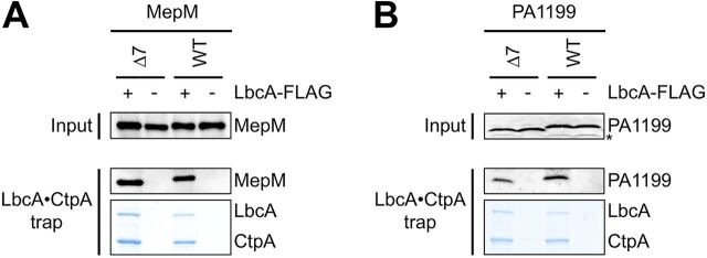 FIG 6