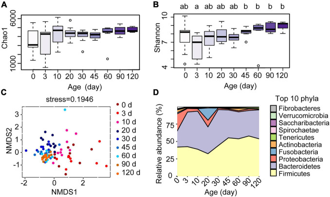 FIGURE 3