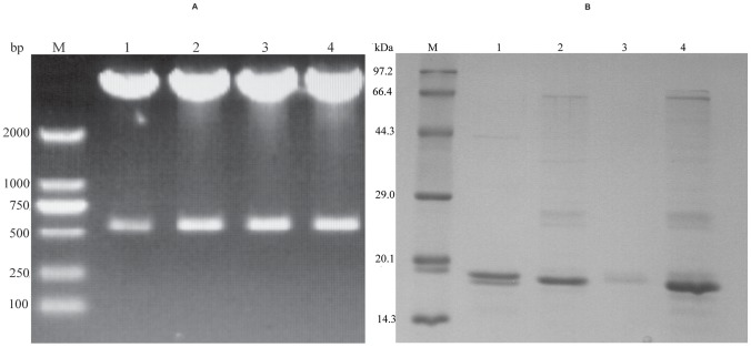 Figure 4