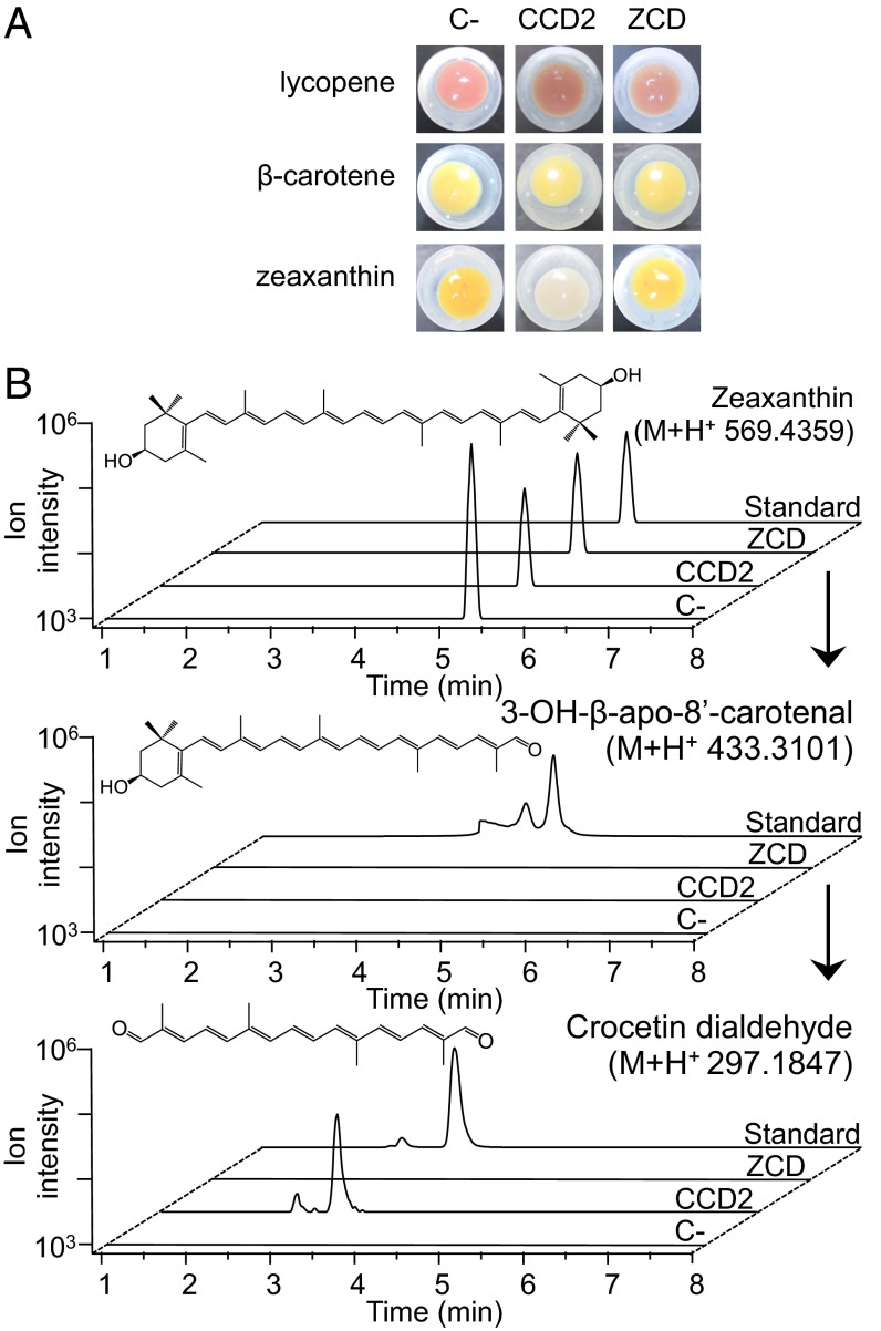 Fig. 3.