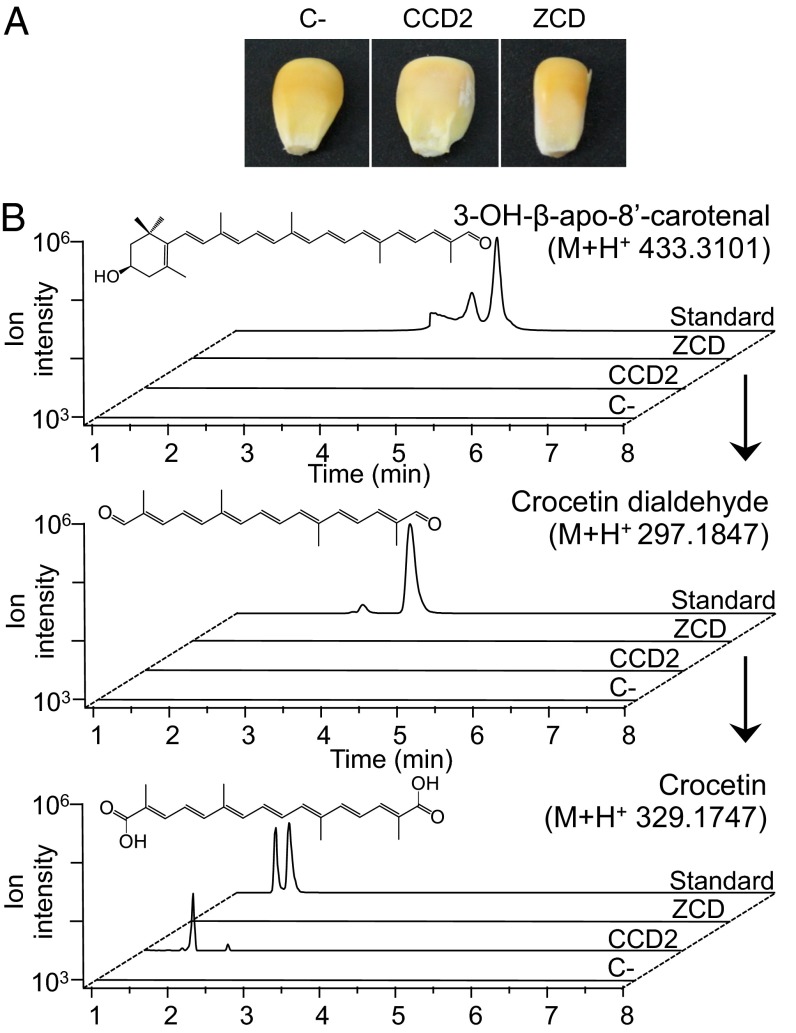 Fig. 4.