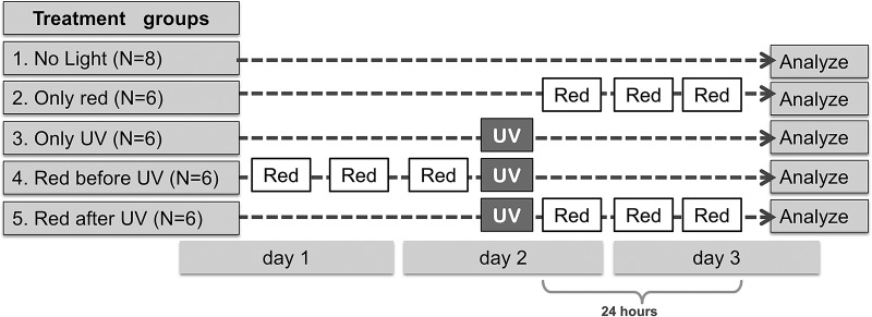 FIG. 1.