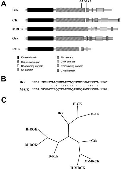 Figure 2.