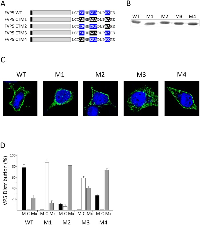 Fig 4