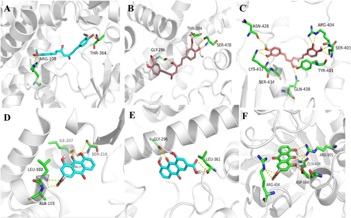 FIGURE 5