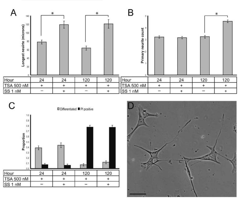 FIGURE 13