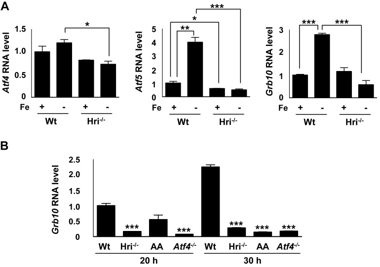 Figure 7—figure supplement 1.