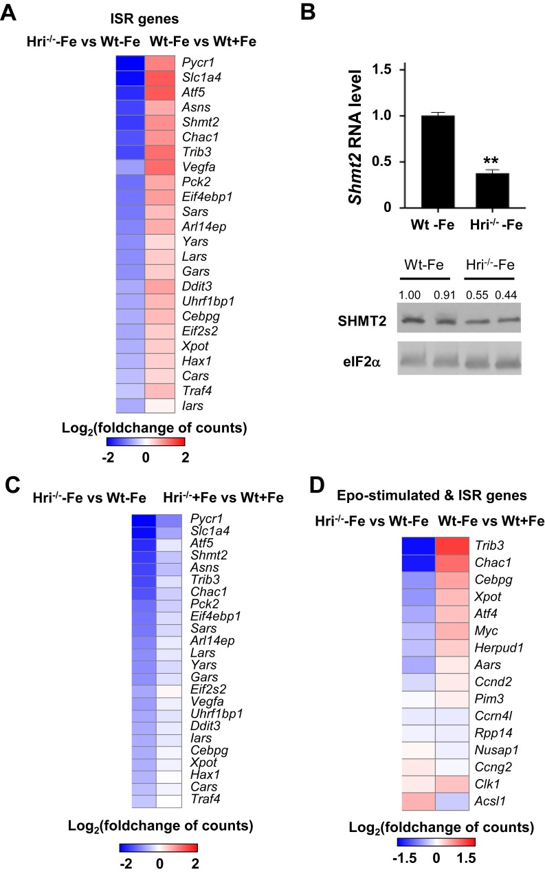 Figure 6—figure supplement 1.