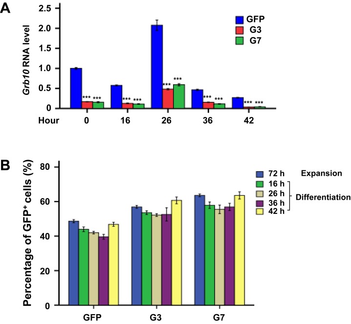 Figure 7—figure supplement 3.