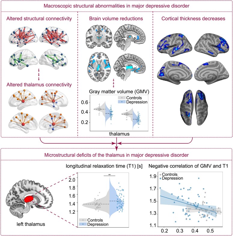 Graphical Abstract