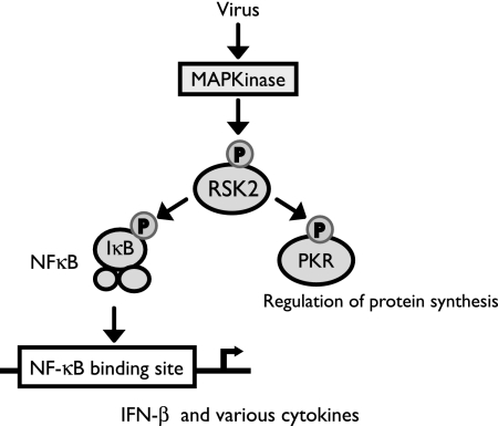 FIG. 6.