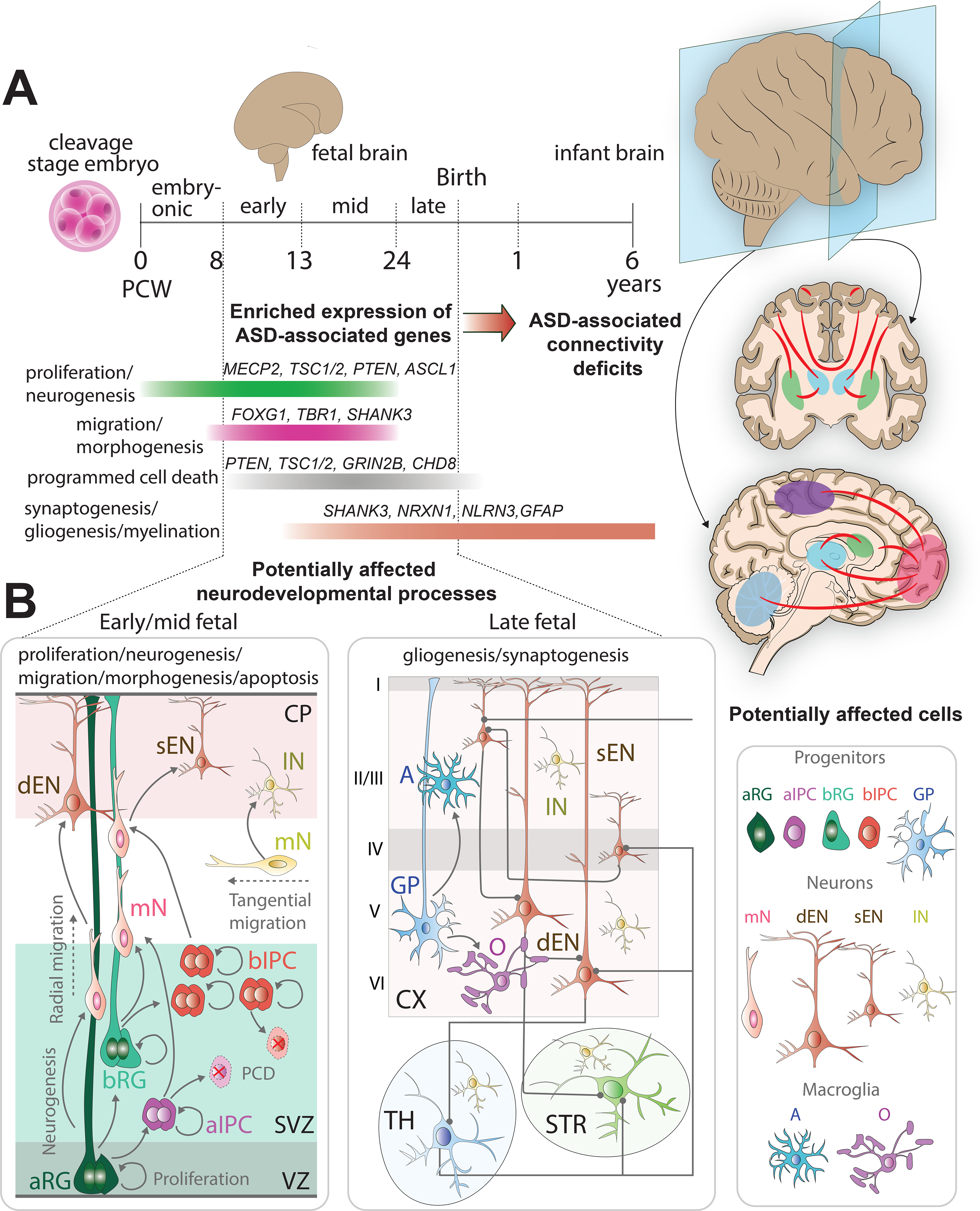 Figure 1: