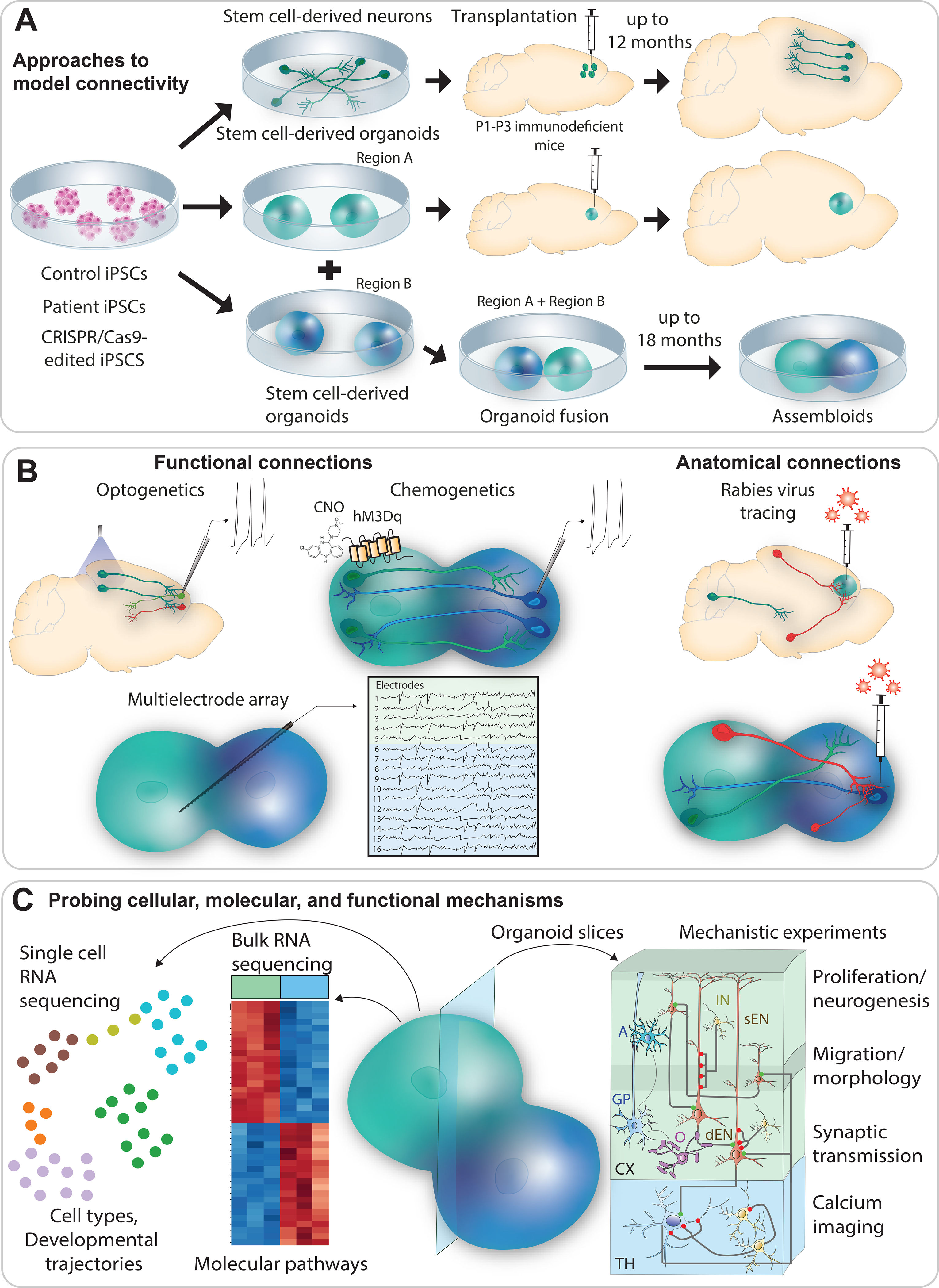 Figure 2: