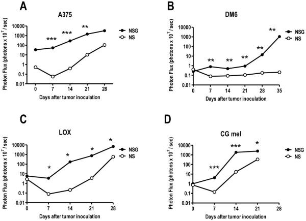 FIGURE 3