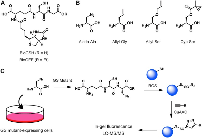 FIG. 6.