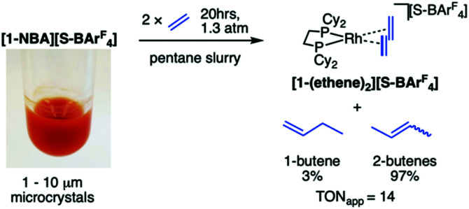 Scheme 3