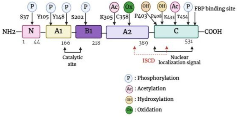 Figure 1