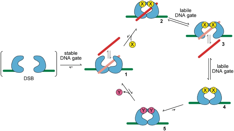 Figure 3.