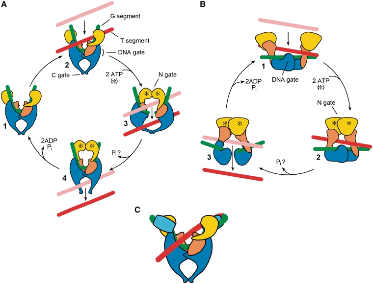 Figure 1.