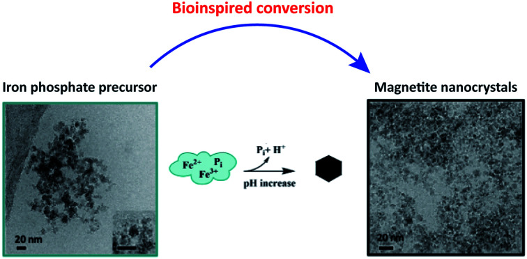 graphic file with name d0sc07079c-ga.jpg