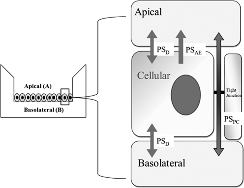 Fig. 2.