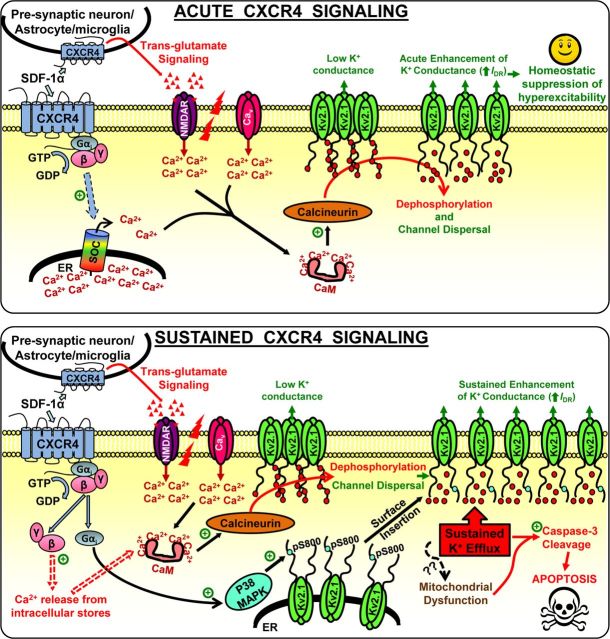 Figure 12.