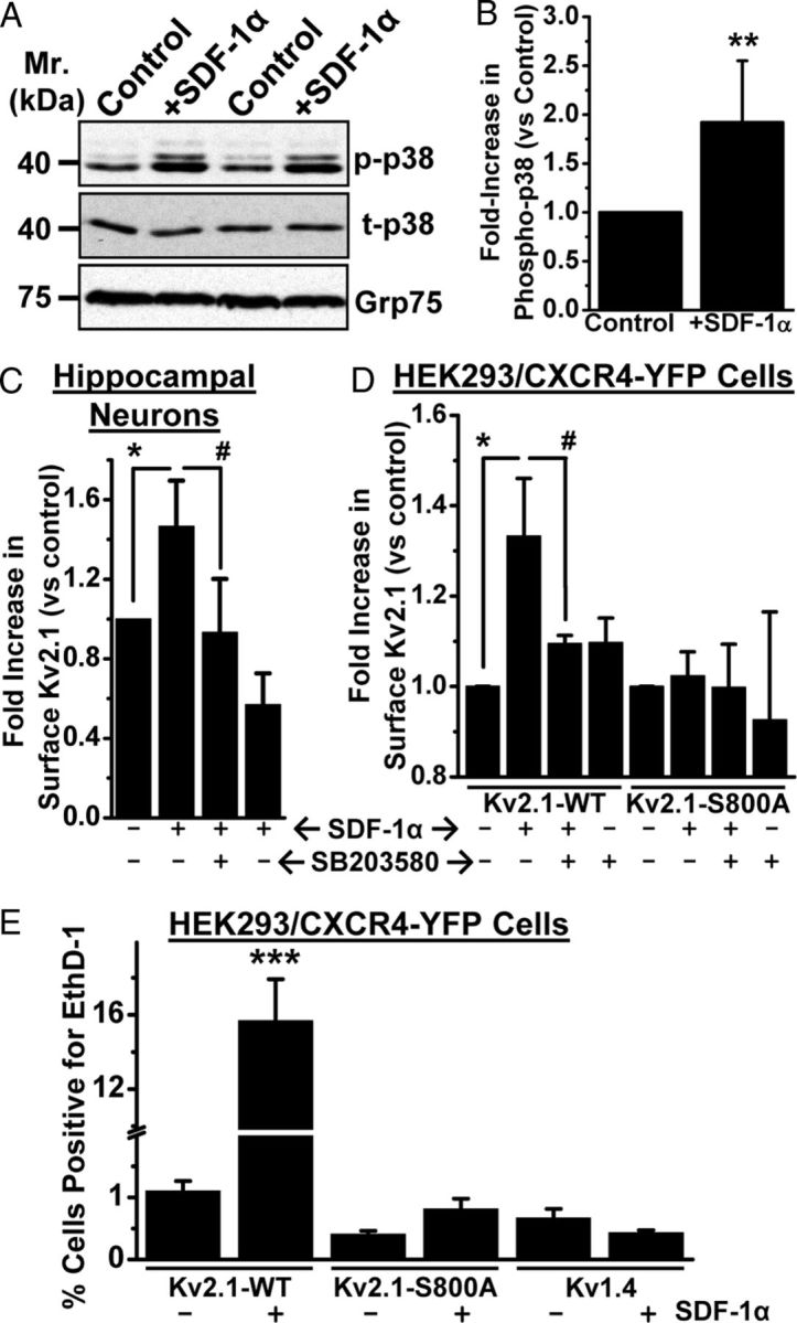 Figure 10.