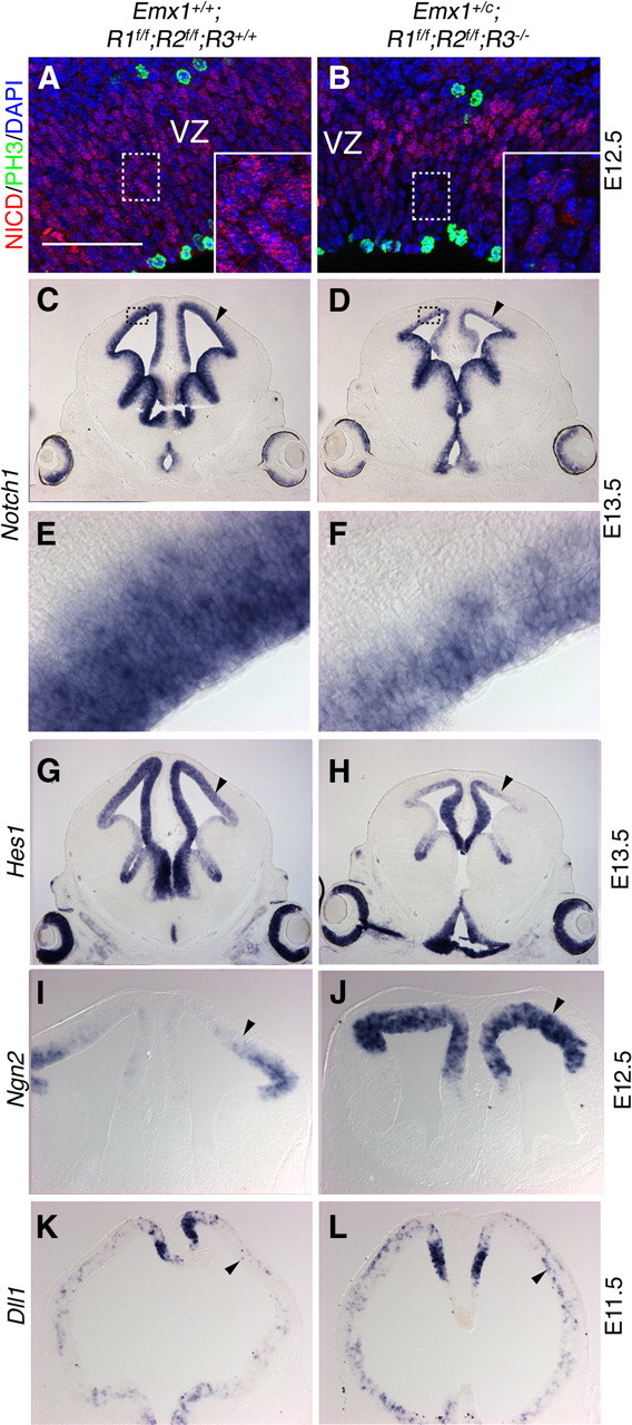 Figure 9.