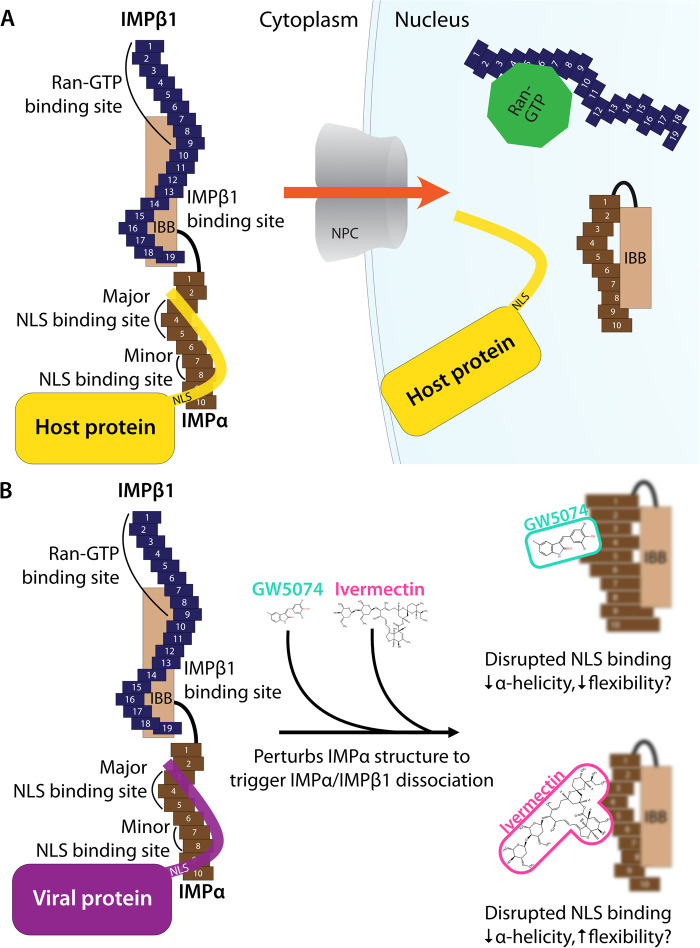 Figure 2.