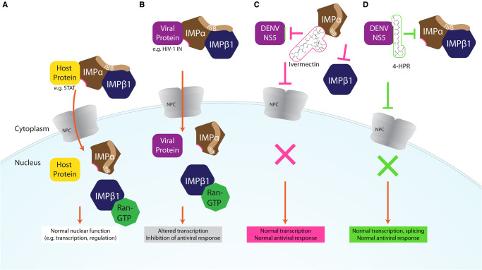 Figure 1.