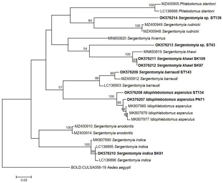 Figure 3