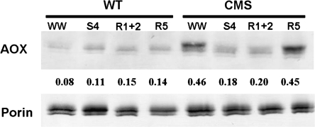 Fig. 3.