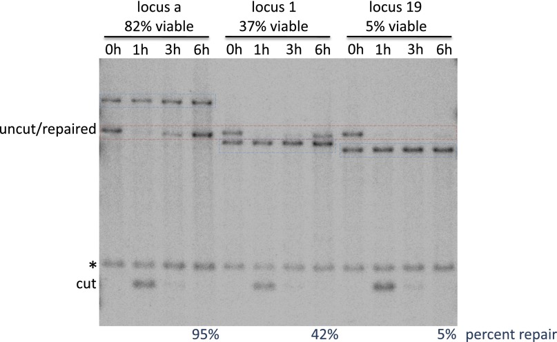 Fig. S1.