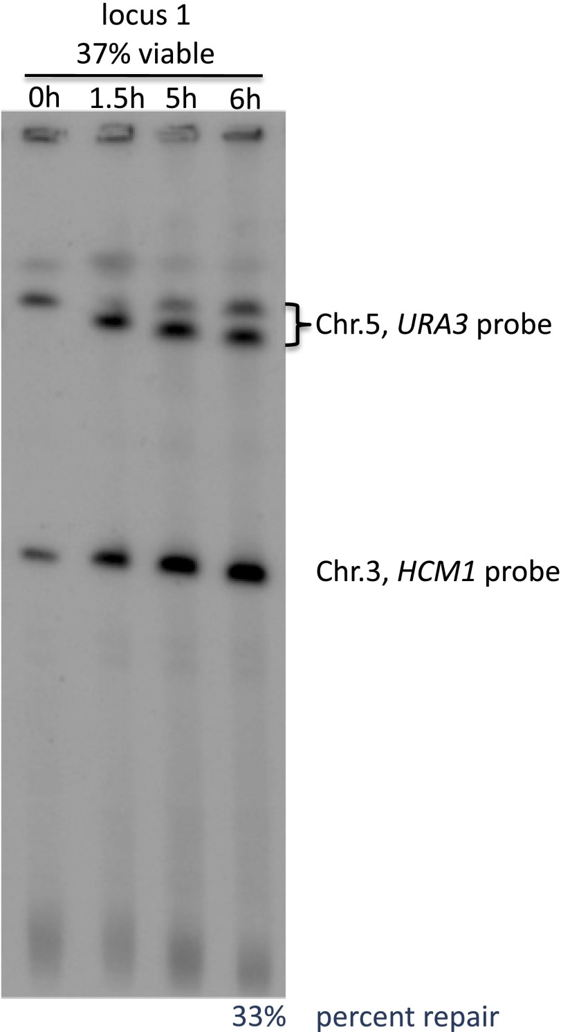 Fig. S6.