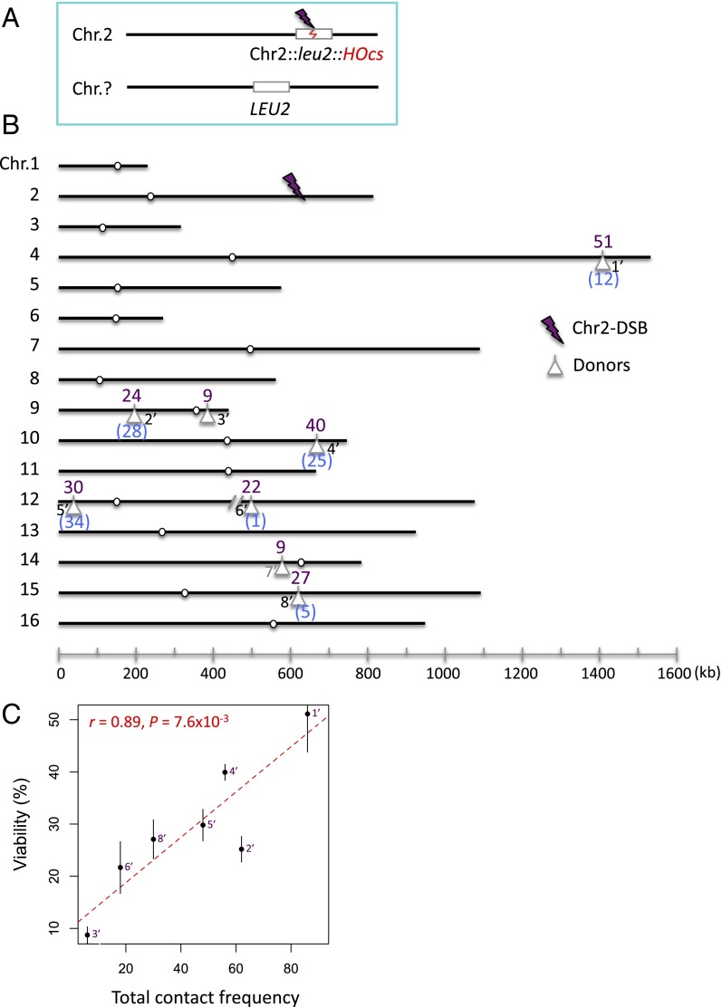 Fig. 3.