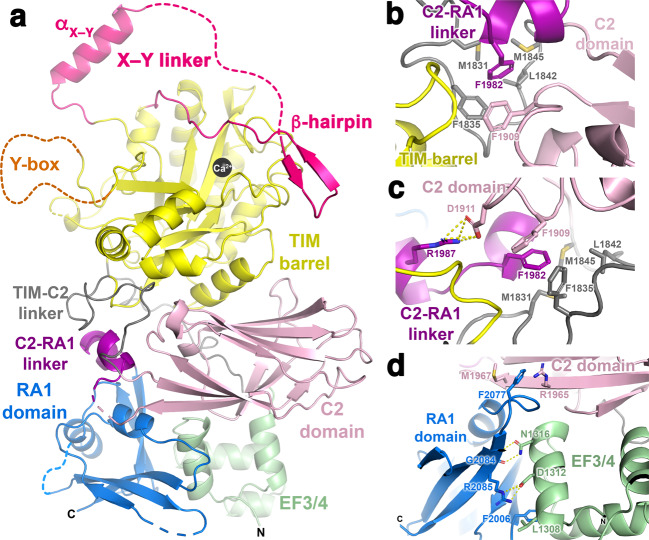 Fig. 2