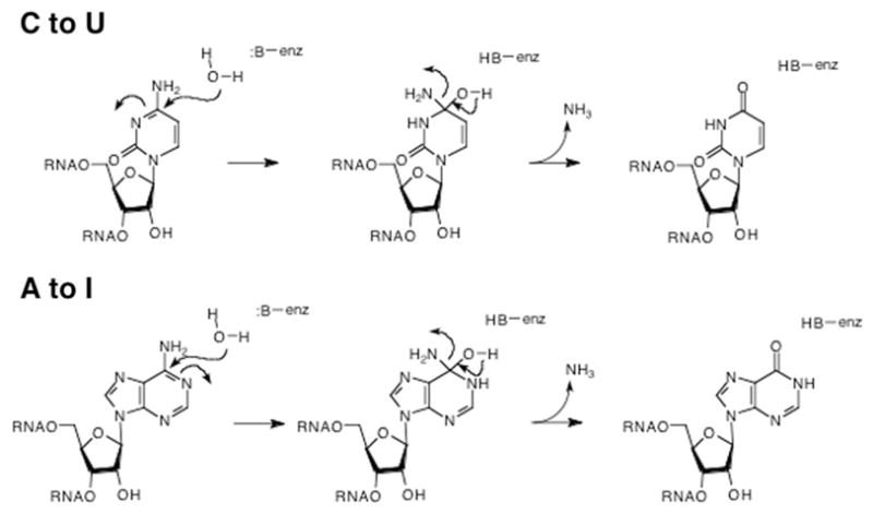 Fig. 11