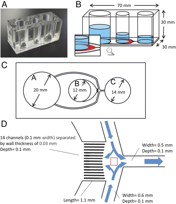 Fig. 1.