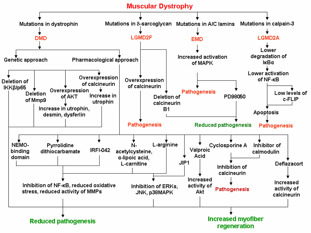 FIGURE 3