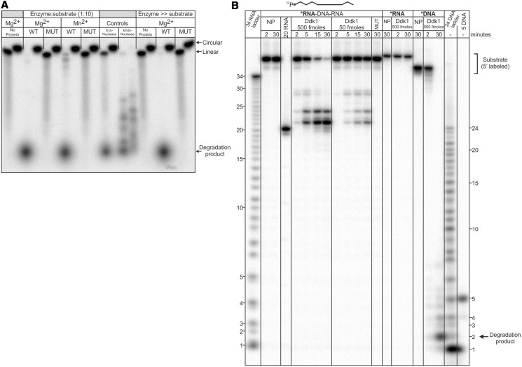 Figure 6.