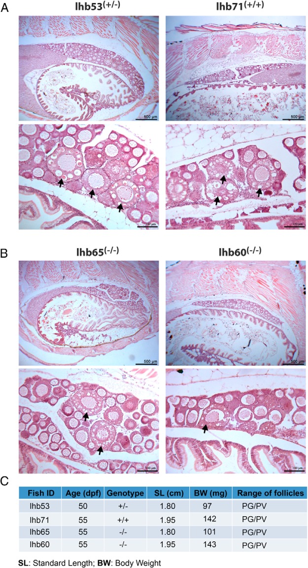 Figure 10.