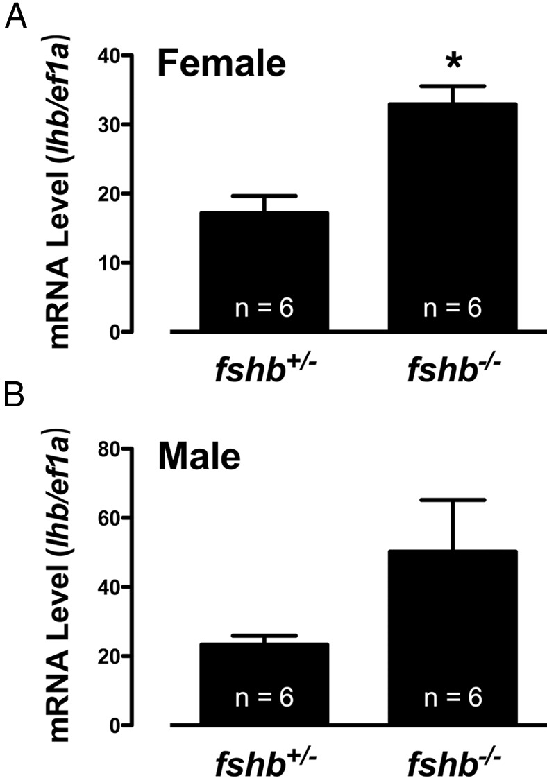 Figure 13.