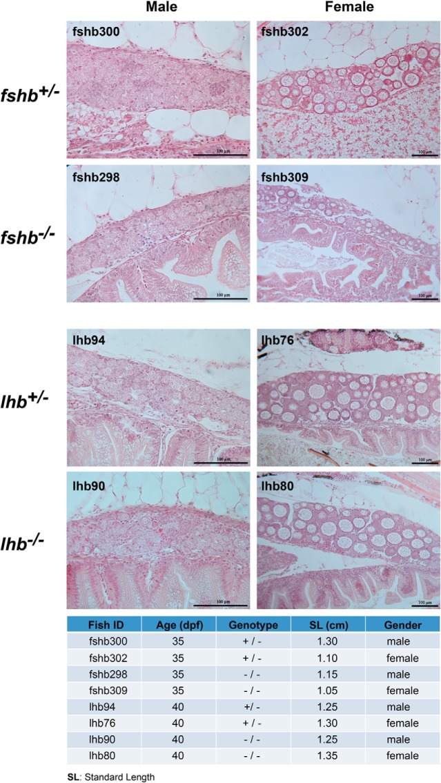 Figure 15.