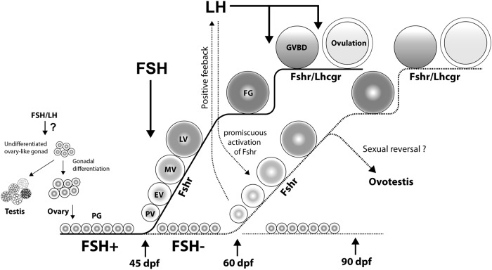 Figure 18.