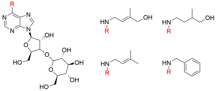 Figure 8