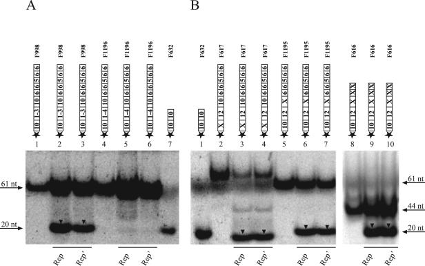 FIG. 5.