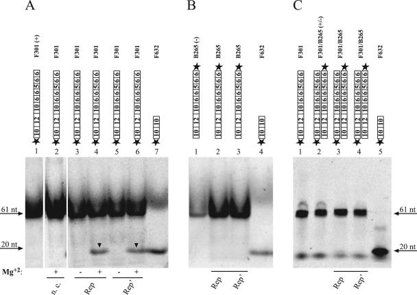 FIG. 4.