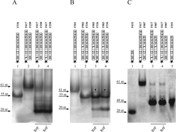 FIG. 7.