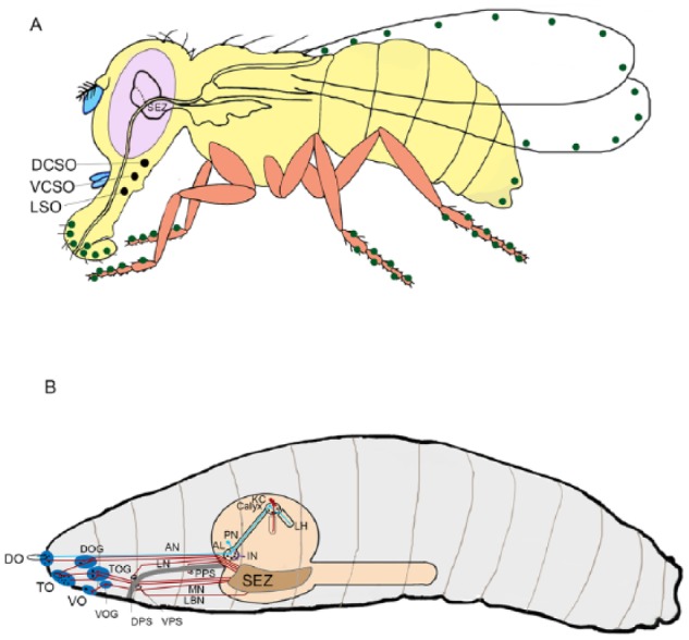 Figure 1.