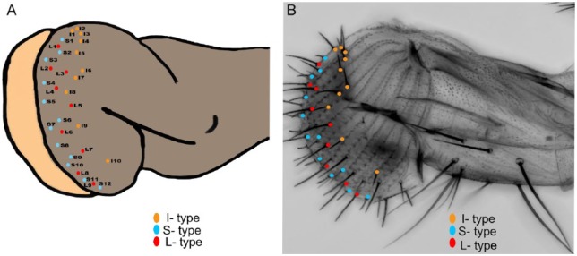 Figure 2.